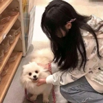 血饮天下变态版果盘版下载